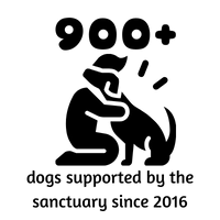 Infographic: 900+ dogs supported by the sanctuary since 2016