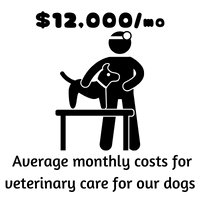 Infographic: $12,000/month is the average costs for veterinary care for our dogs